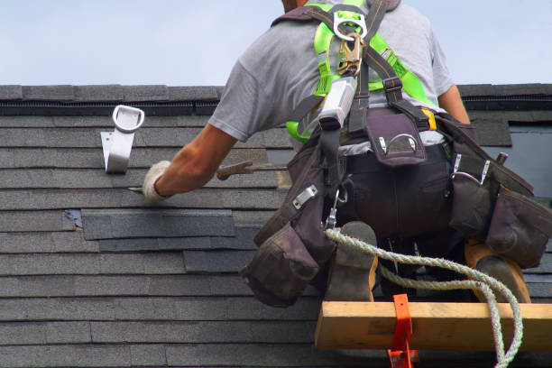 Best Roof Moss and Algae Removal  in Houston, PA